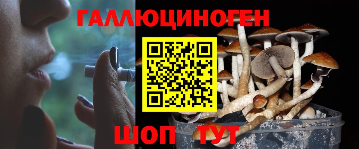  Кокаин Удомля