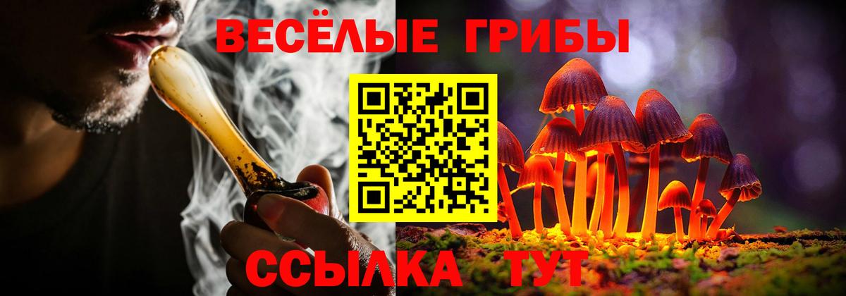 Галлюциногенные грибы Psilocybine cubensis  Вход с VPN  Удомля 